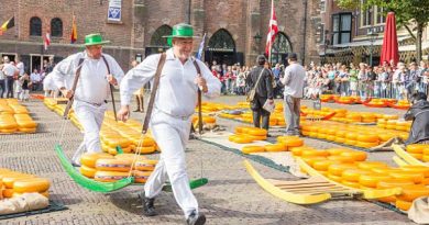 Pasar Keju Alkmaar: Menyaksikan Proses Jual Beli Keju Tradisional di Belanda