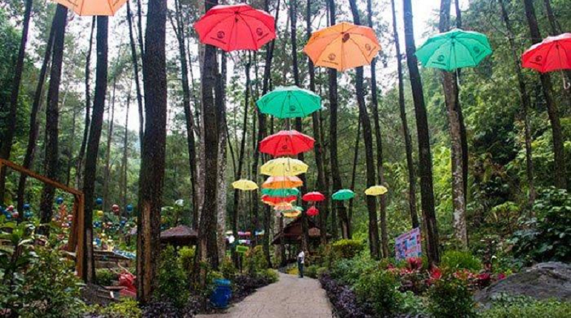 Pesona Srambang Park Ngawi, Destinasi Wisata Alam Sejuk di Jawa Timur
